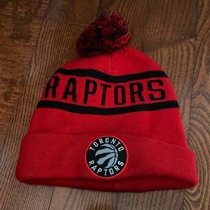 Raptors hat